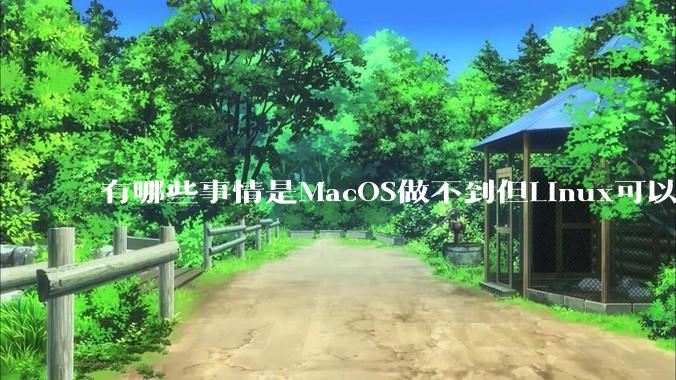 有哪些事情是MacOS做不到但Linux可以做到的？